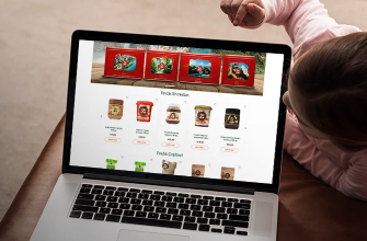 Pinduk SEO Case Study